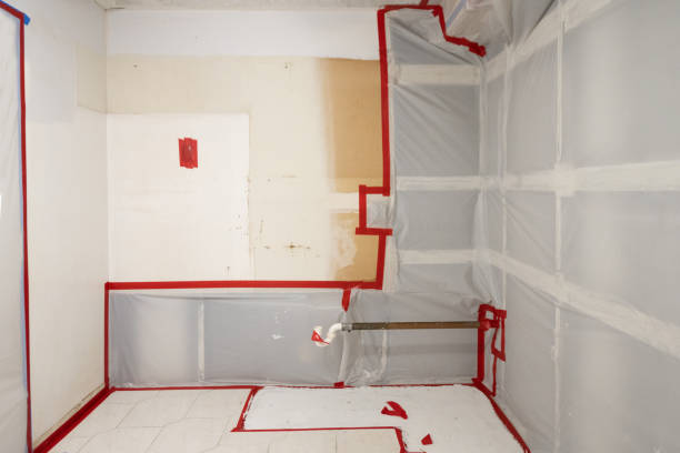 Mold Odor Removal Services in Santo Domingo Pueblo, NM