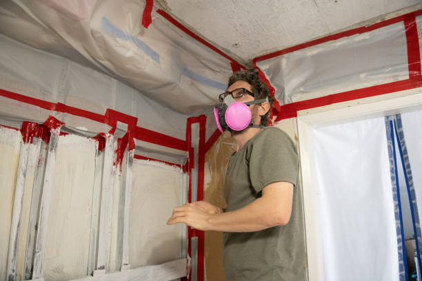  Santo Domingo Pueblo, NM Mold Removal Pros