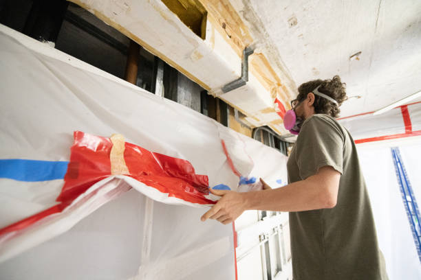 Trusted Santo Domingo Pueblo, NM Mold Removal Experts