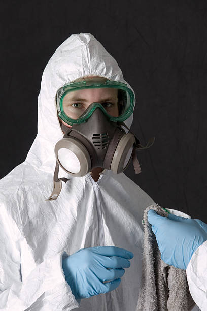 Best Water Damage & Mold Remediation  in Santo Domingo Pueblo, NM